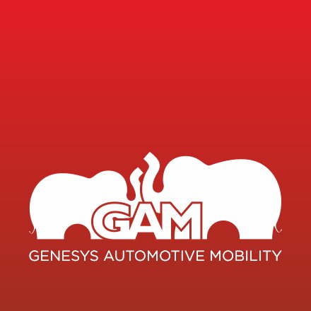 GAM - Service auto